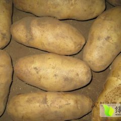 围场四区益民农资