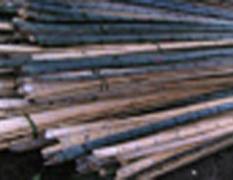 大量长期供应大棚竹子，竹片