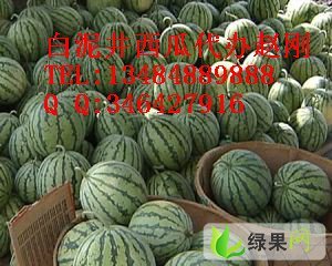 安农二号价格