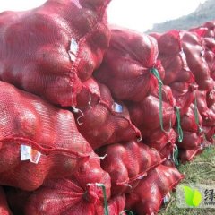 单县红皮洋葱开始大量上市 欢迎广大经销商前来采购
