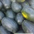 湖北省天门市皂市镇白湖分场黑美人西瓜大量上市