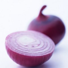 吉林洮北紫皮洋葱8月份上市