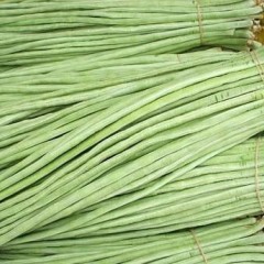 淄博博山长豆角，欢迎订购