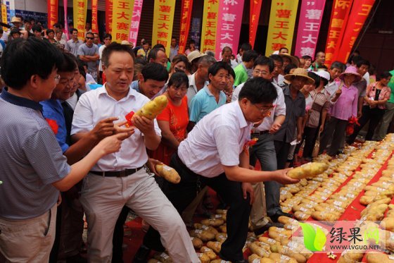 第六届中国滕州土豆节薯王花落界河镇东曹西村