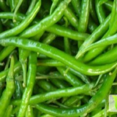 河南开封县线椒辣椒椒型好、辣度高、色泽艳