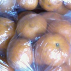 广西省钟山县石龙镇源头村沙糖桔