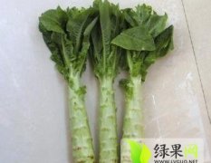 江苏东台白皮莴苣 今日价格0.25
