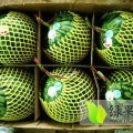 山东寒亭早春红玉西瓜合作社欢迎您的光临
