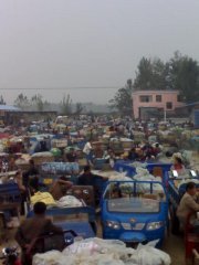 山东莘县蔬菜基地