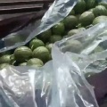 安徽砀山小糖丸西瓜上市了