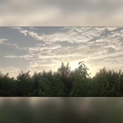 山西新绛油桃油桃大量有货 对接全国市场，点进来看看！