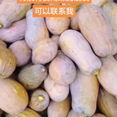 云南河口蜜本南瓜 产地直供 量大从优