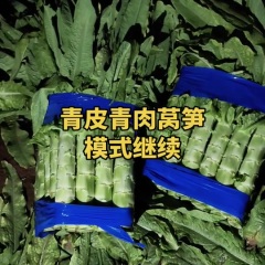河北定州蔬菜青皮莴笋大量上市供应