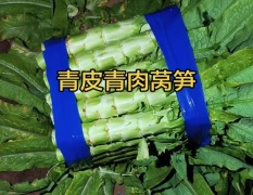 大量供应腌制、切片用光杆莴笋