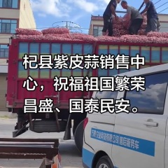 杞县库内大蒜大量供货