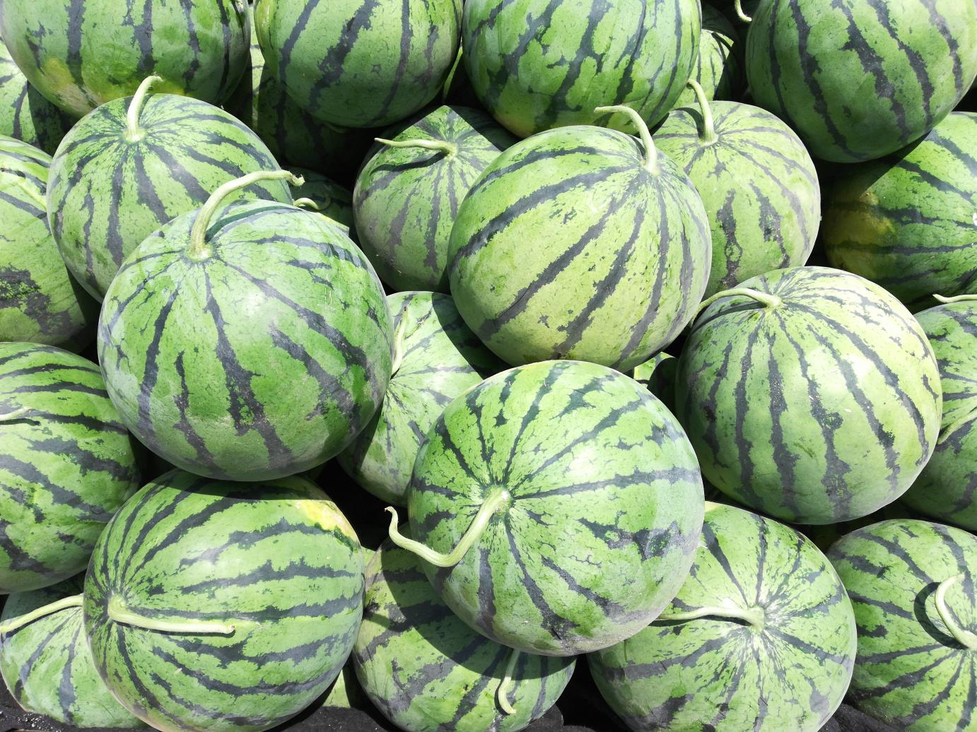 捡到10金豆收进了钱袋子!