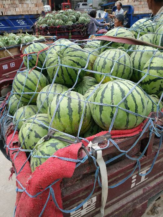 2022年河南通许龙卷风价格