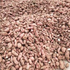 出售红薯 本人自产自销好红薯