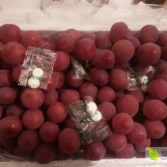 5斤装河北涿鹿红提正在出库中，果粉好，硬度高口感甜需要的赶快行动吧！