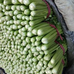 本地长年供应各种蔬菜