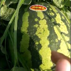 诚信第一，客户至上