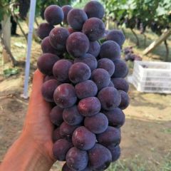 诚信第一，客户至上