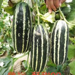 博洋九博洋八博洋七一博洋六一