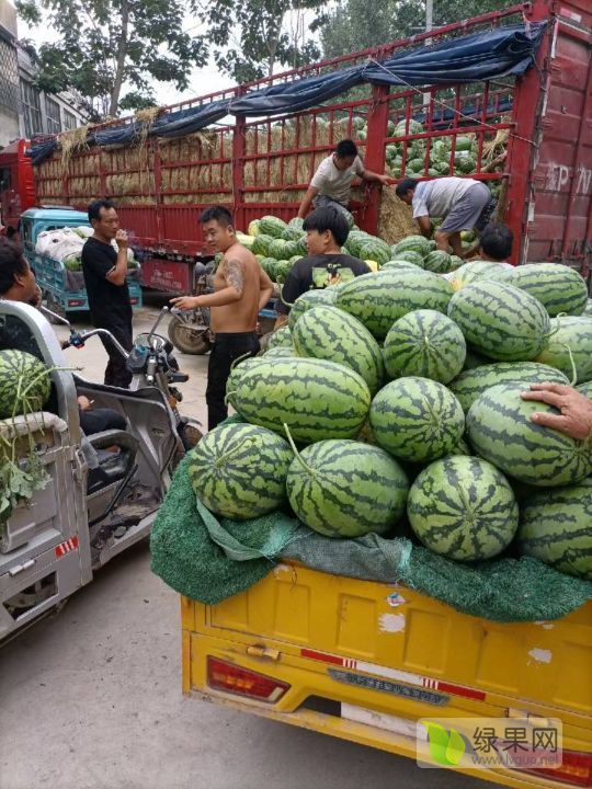 花皮无籽价格