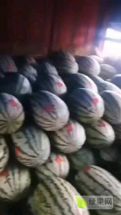 金花1号价格