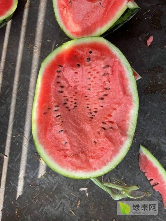 甜王系列价格