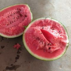 河南开封西瓜上市时间@代办批发产地@代办基地电话