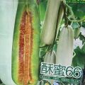 大量供应小糖丸西瓜，甜瓜，