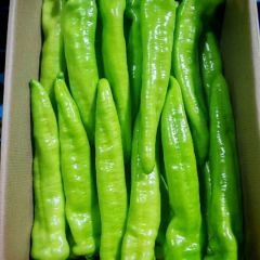 黄皮椒，螺丝椒，泡椒，苏椒等各种辣椒产地