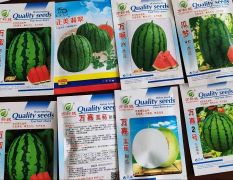 各种西瓜甜瓜哈密瓜，各种蔬菜瓜果种苗