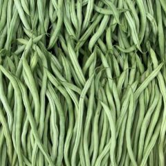 山西省朔州市应县大型无公害蔬菜基地